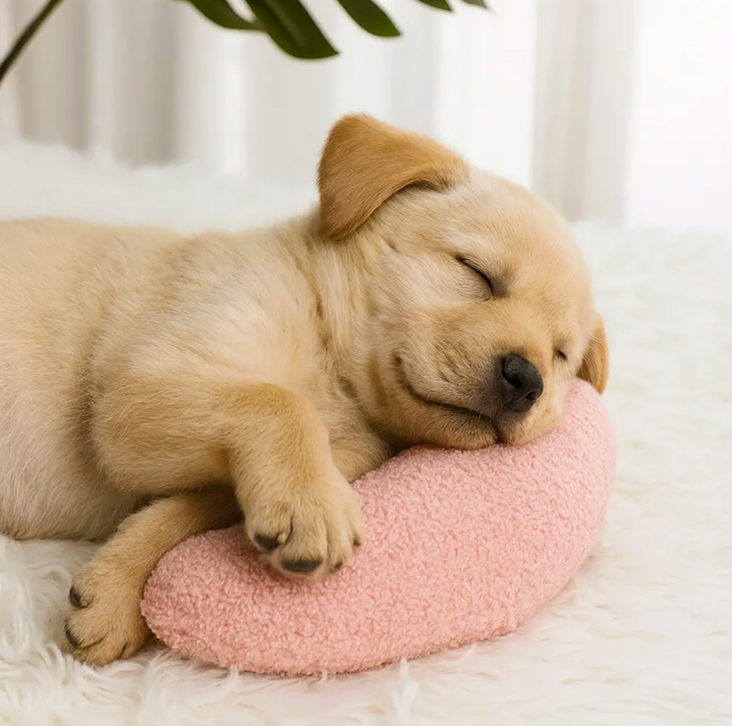 The Pupwell™ Calming Pillow [Free Today]